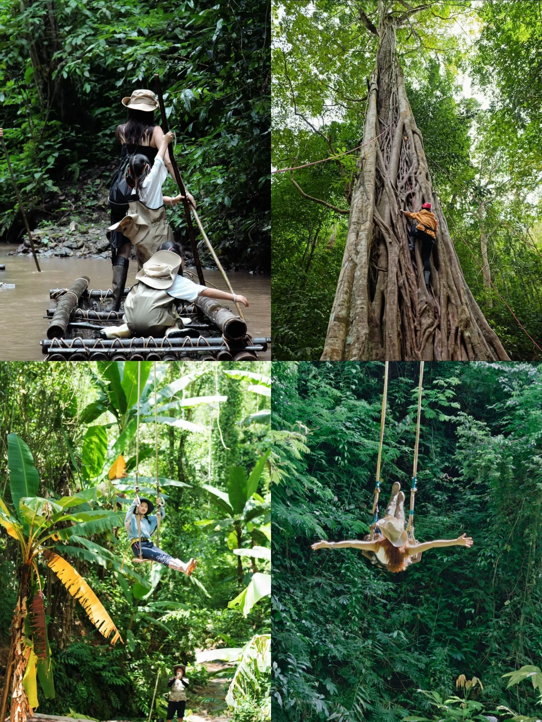 西双版纳淡季来了❗️姐妹们别犹豫，直接冲❗️