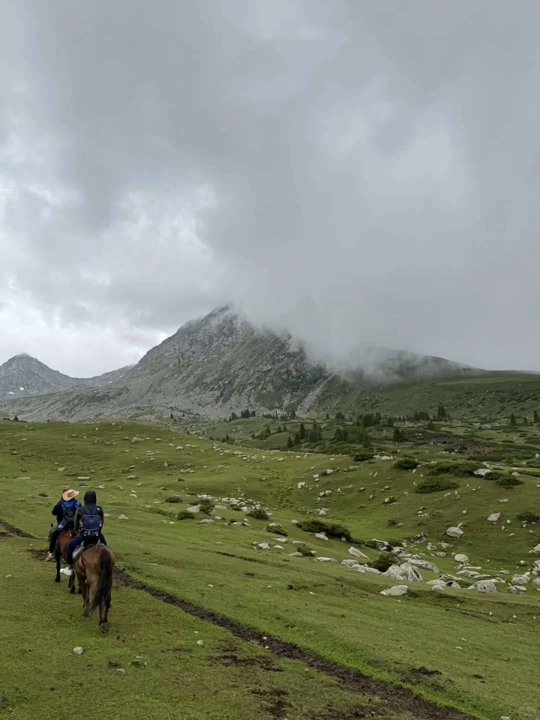 考察后，讲点新疆旅游的现状【跟团游#1】