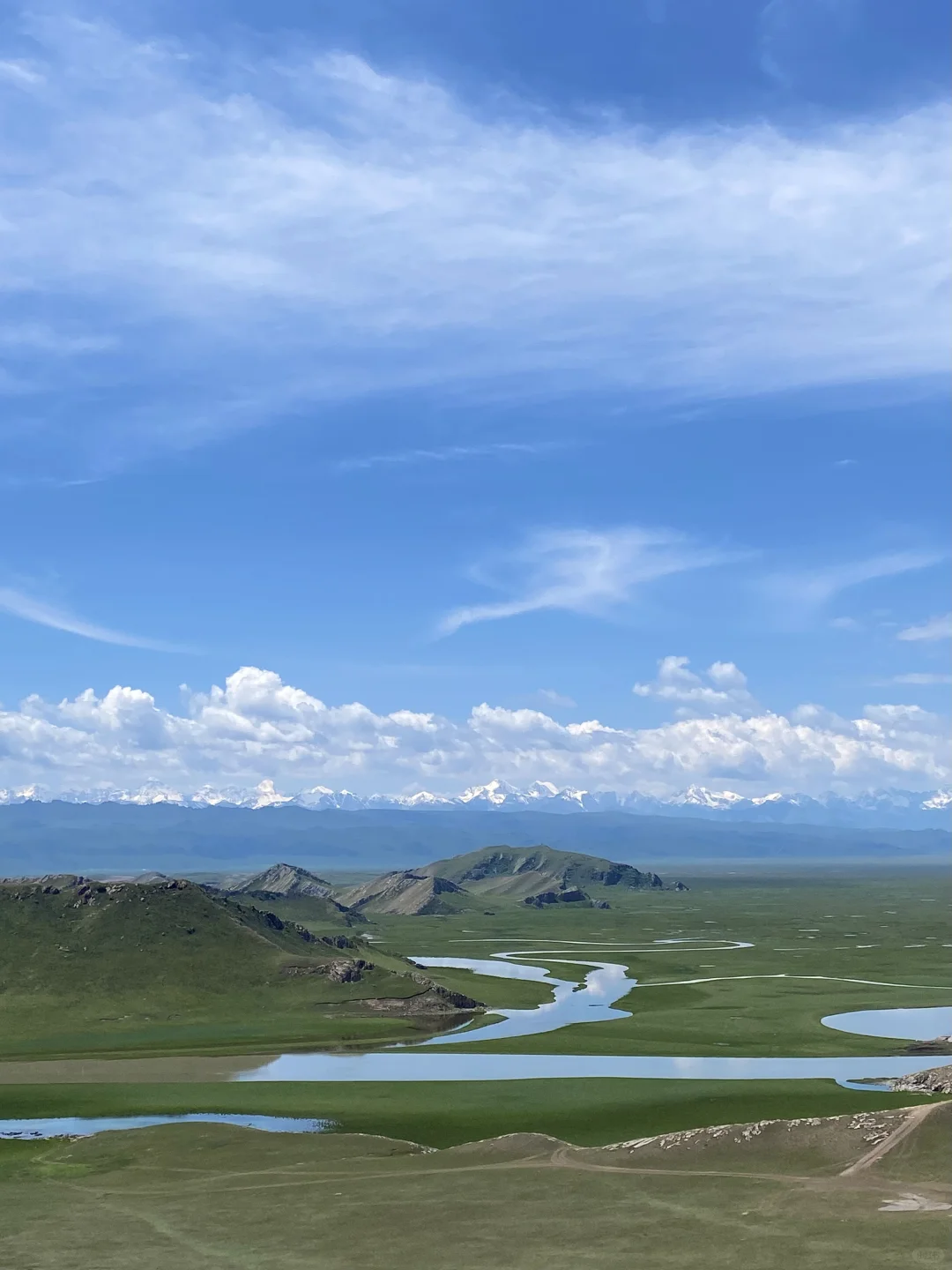 6月的伊犁是封神级别的夏天🍃