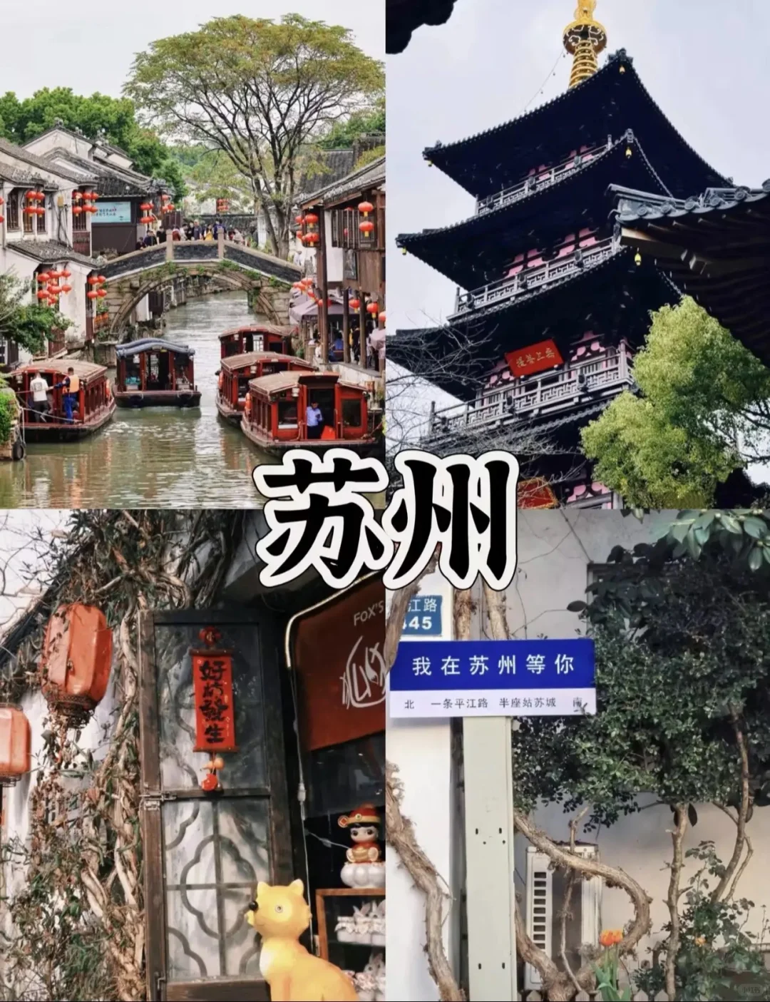 🌸适合闺蜜旅游🌸拍照出片六个绝美城市
