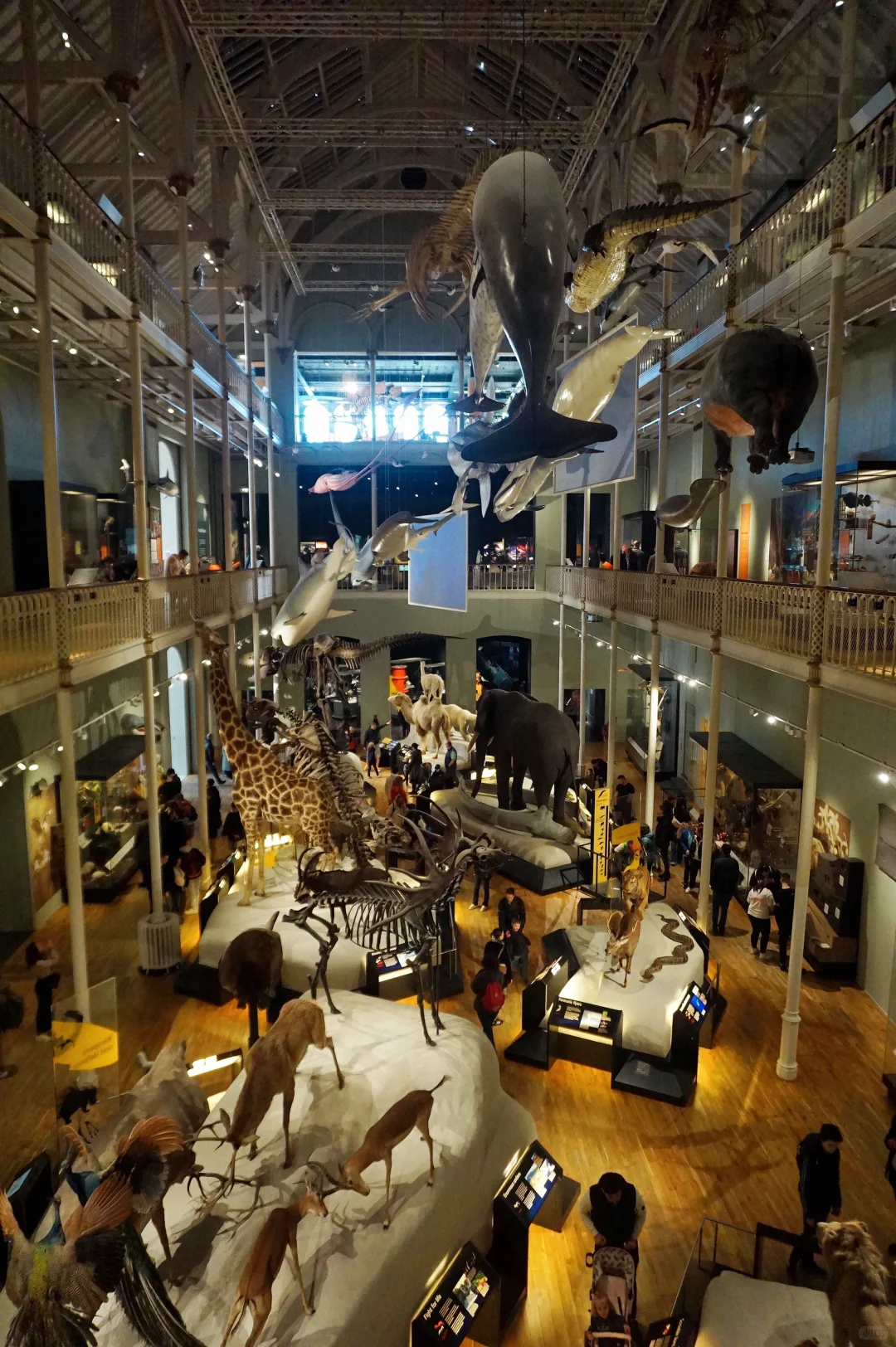 i人独游爱丁堡 2 天｜保姆级旅游攻略🌄