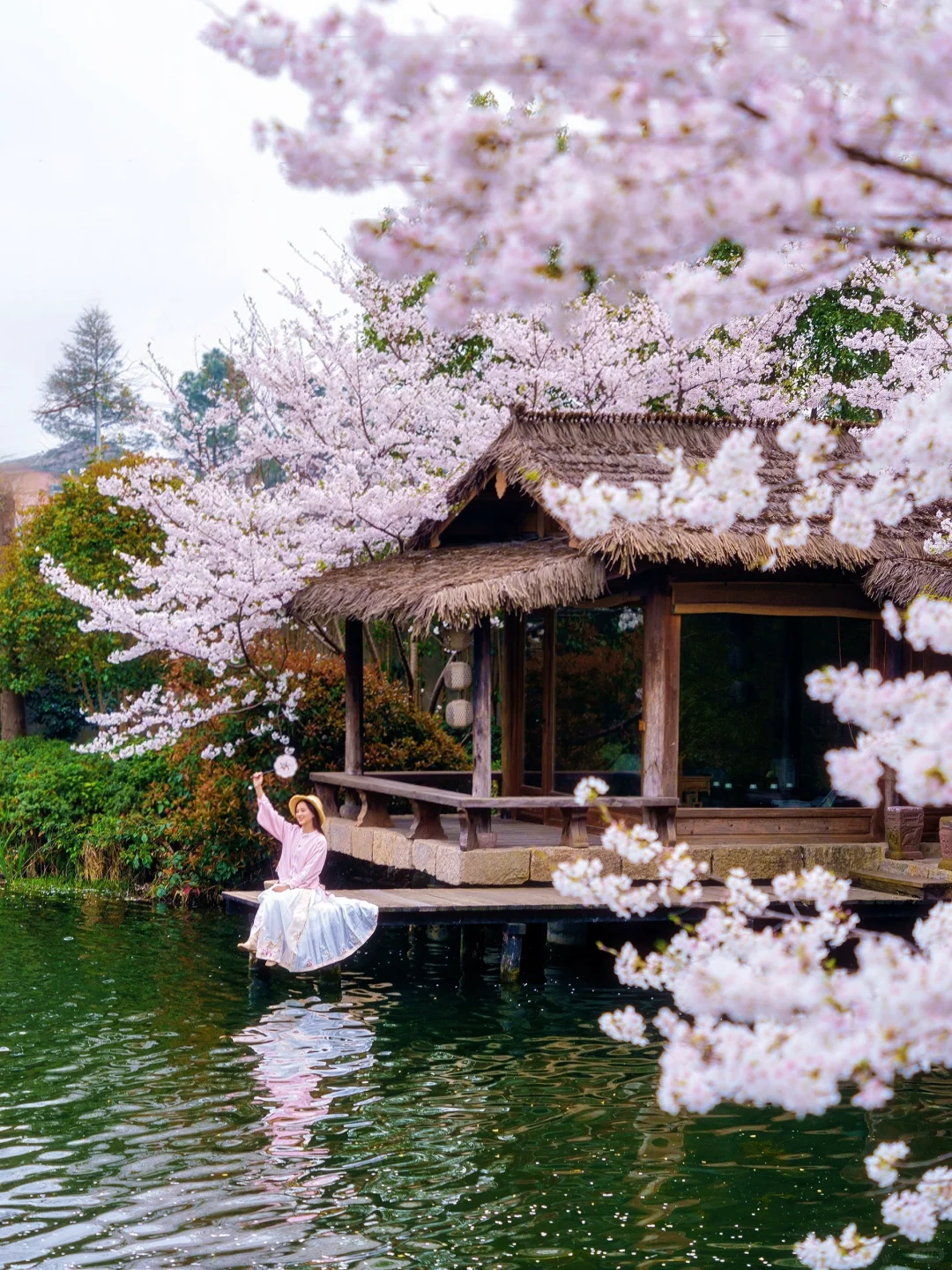 比起西湖🌸我更爱这条春游赏花citywalk