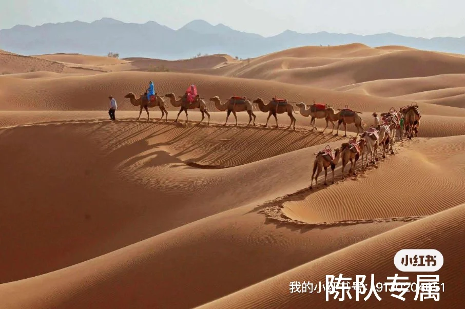 宁夏五天四晚的旅游攻略