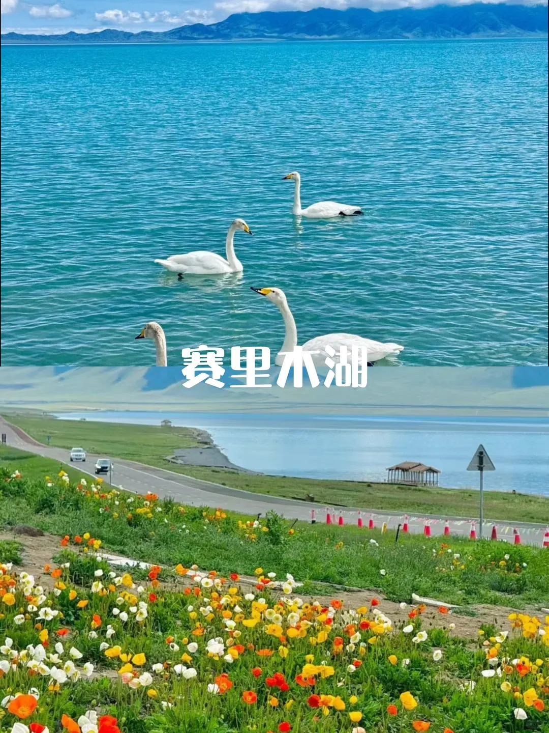  北疆伊利环线不用做攻略‼️7天包车游攻略