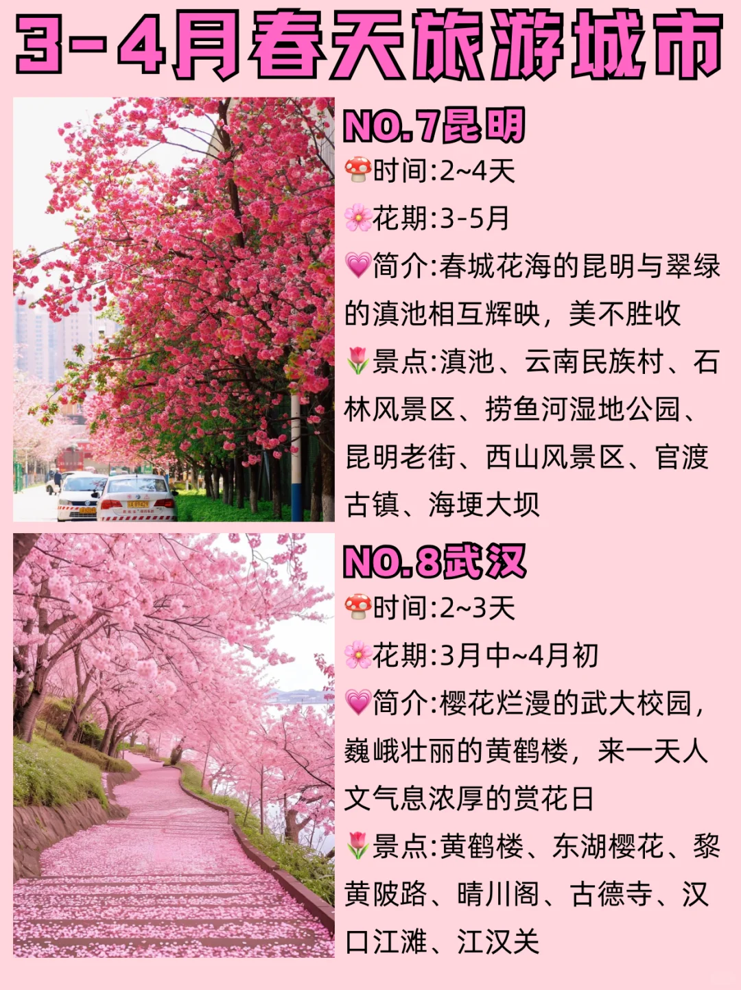 赏花漫游🌸适合3-4月春季旅游的十个城市