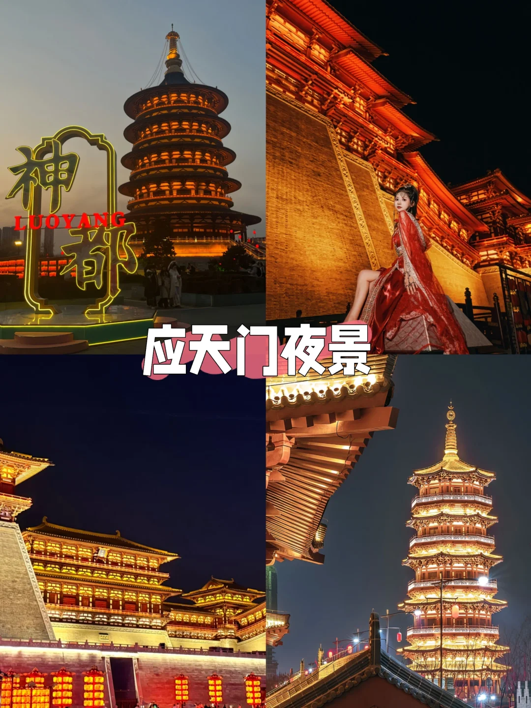 梦回大唐🌸洛阳牡丹|3天2晚旅游攻略