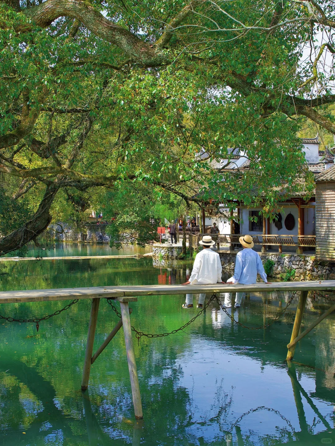 “后来我逢人便说三月的婺源有多浪漫 ~”