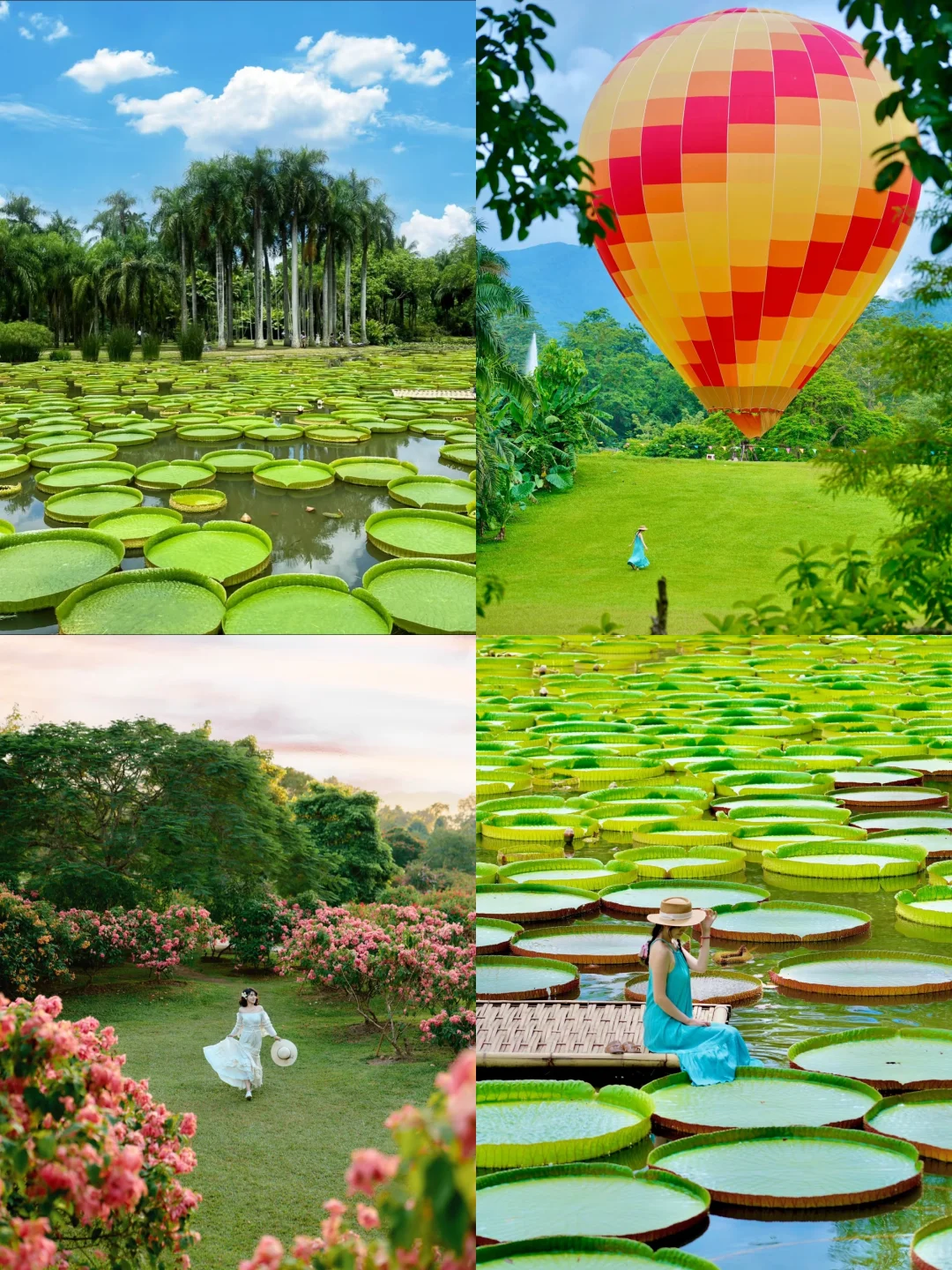 西双版纳淡季来了❗️姐妹们别犹豫，直接冲❗️