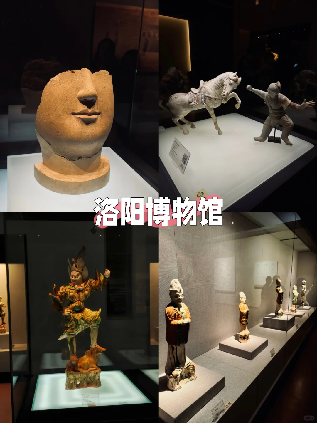 梦回大唐🌸洛阳牡丹|3天2晚旅游攻略