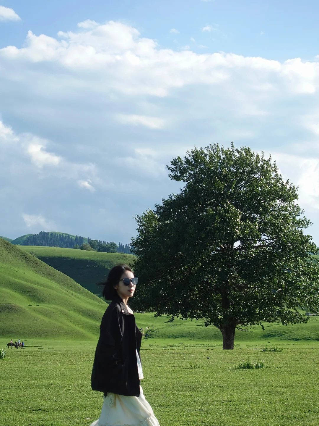 6月的伊犁是封神级别的夏天🍃