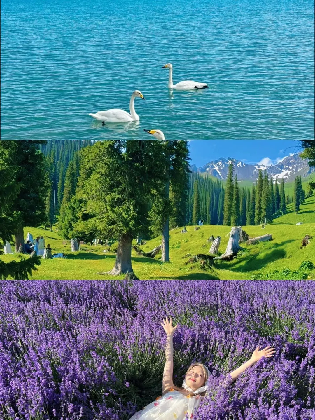 伊犁旅游保姆级攻略❗不踩坑版看这篇