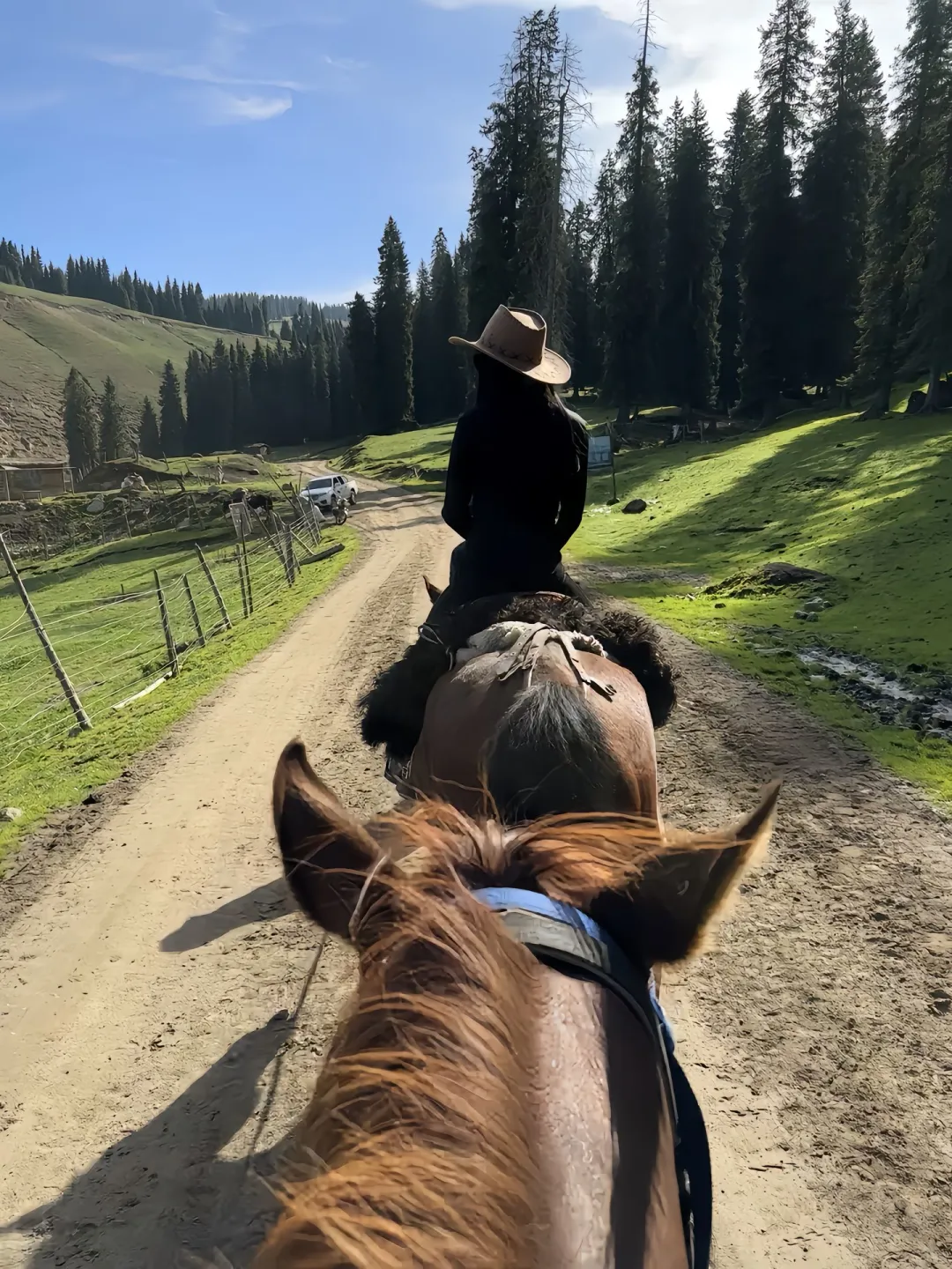 考察后，讲点新疆旅游的现状【跟团游#1】