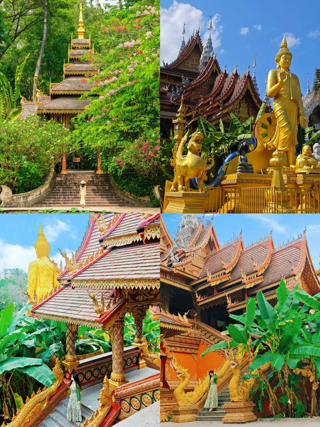 西双版纳淡季来了❗️姐妹们别犹豫，直接冲❗️