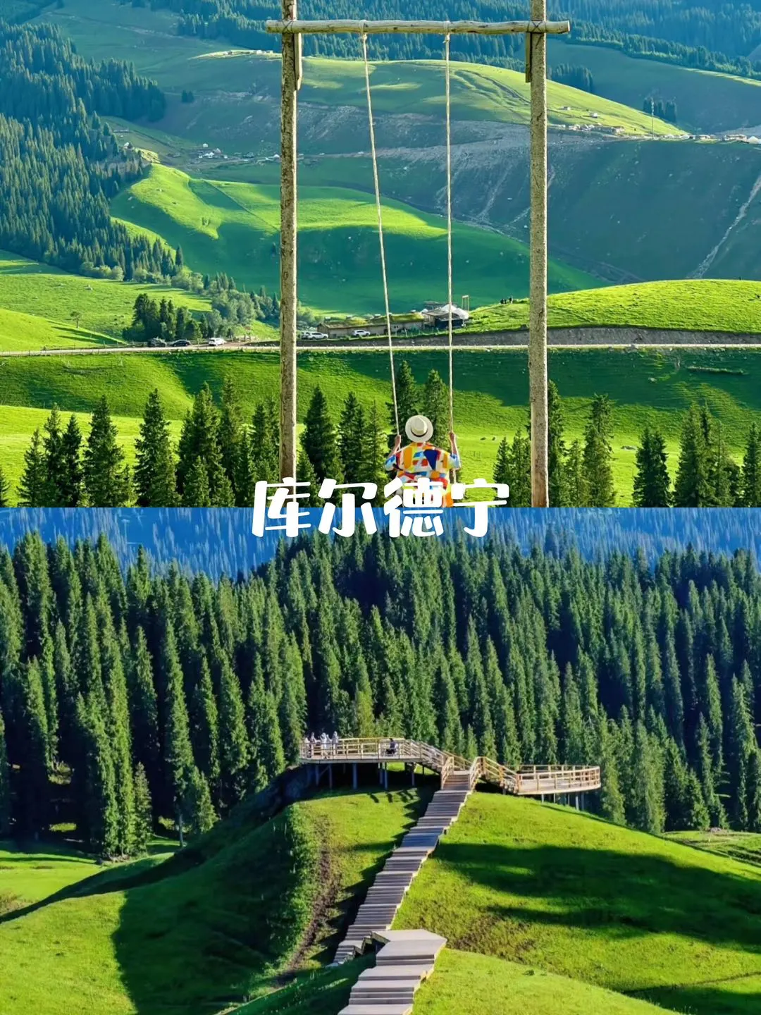  北疆伊利环线不用做攻略‼️7天包车游攻略