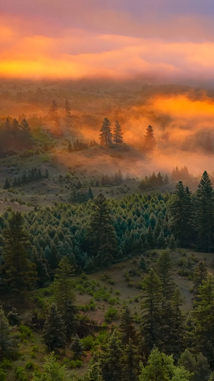 比阿勒泰便宜五倍，内蒙一处被低估的小众地