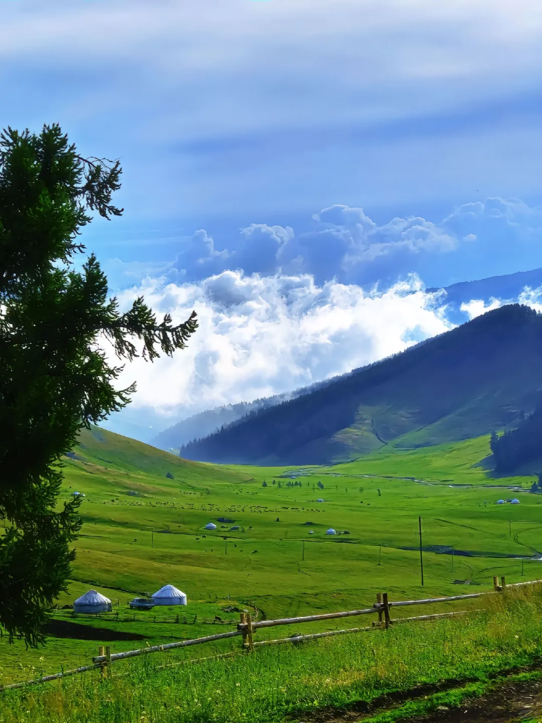 比阿勒泰便宜五倍，内蒙一处被低估的小众地