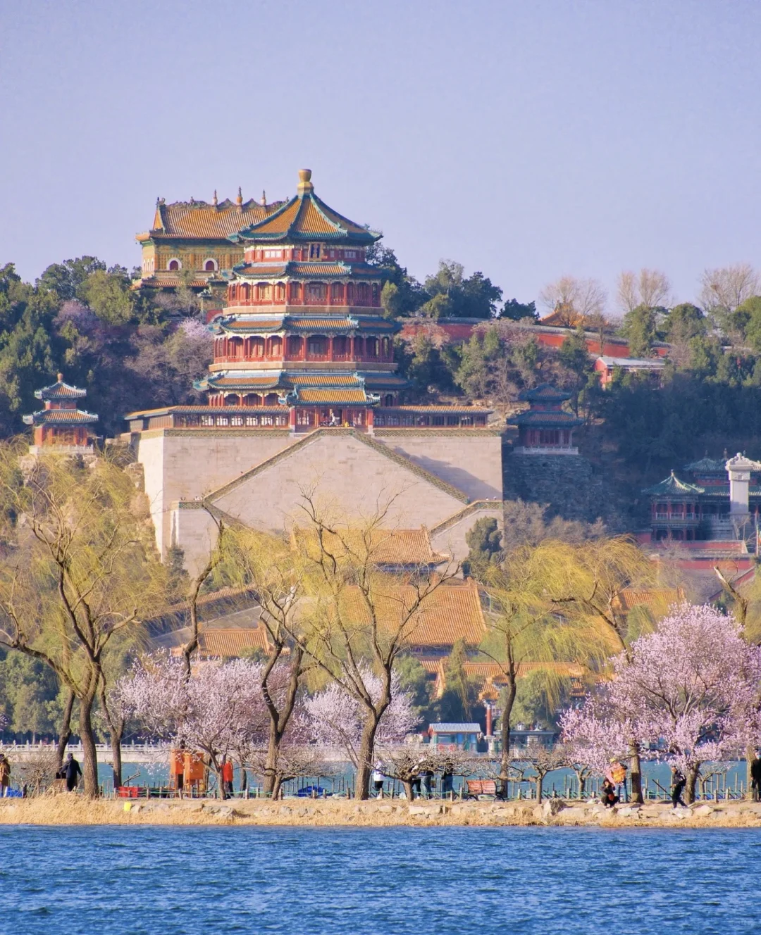 北京会惩罚不会预约的宝子😭