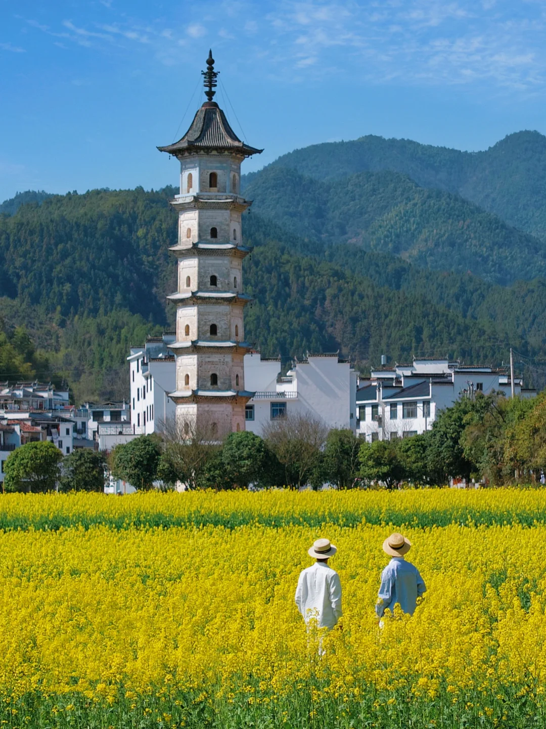 “后来我逢人便说三月的婺源有多浪漫 ~”