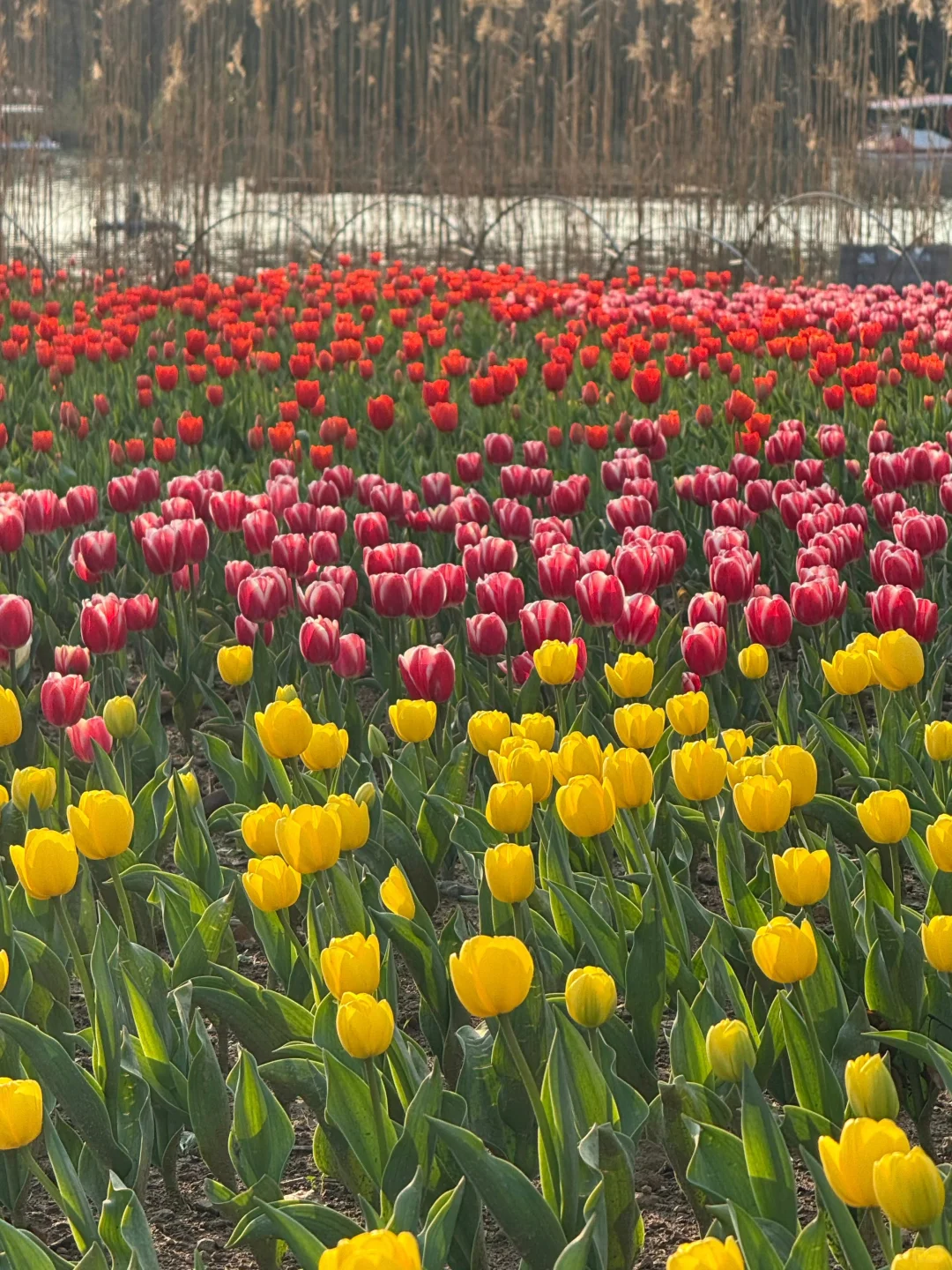 听劝🙋3-4月来宁波的姐妹🐎码住！！