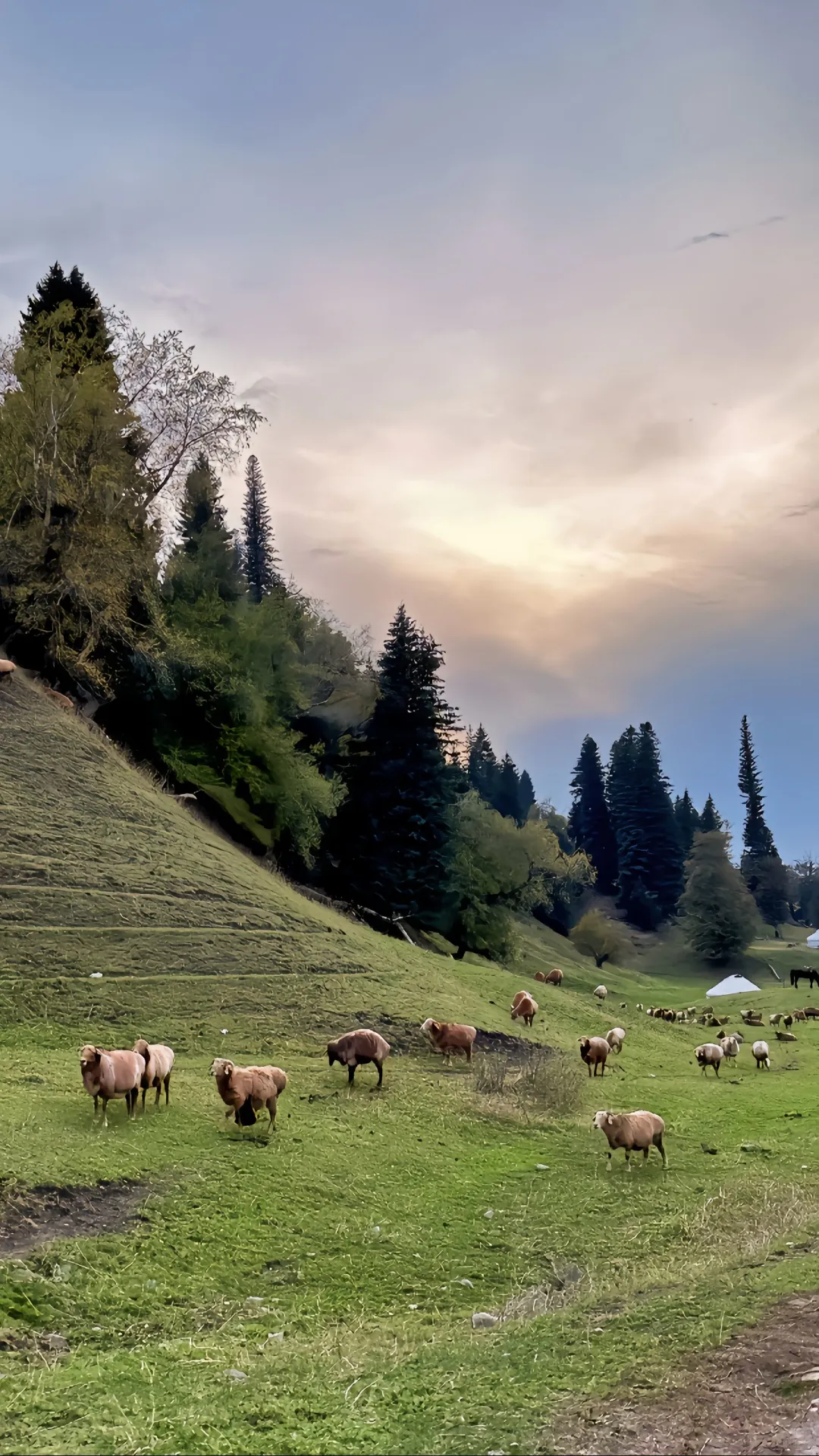 比阿勒泰便宜五倍，内蒙一处被低估的小众地