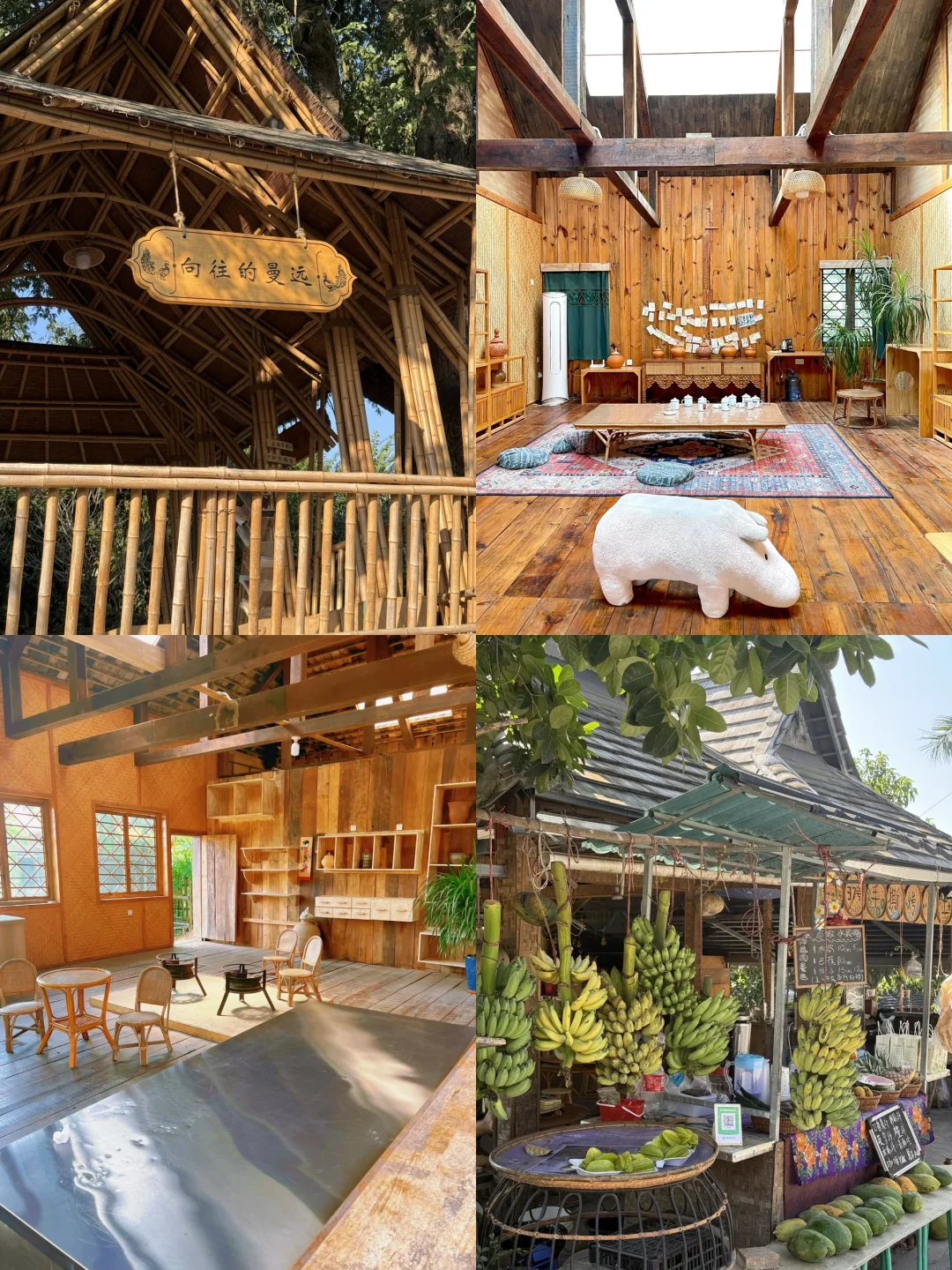 西双版纳淡季来了❗️姐妹们别犹豫，直接冲❗️