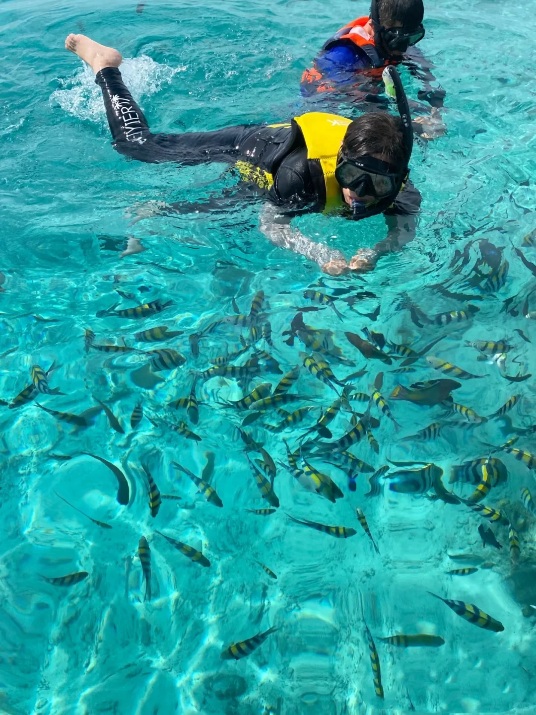 马来西亚旅游让我感受到了信息茧房的可怕