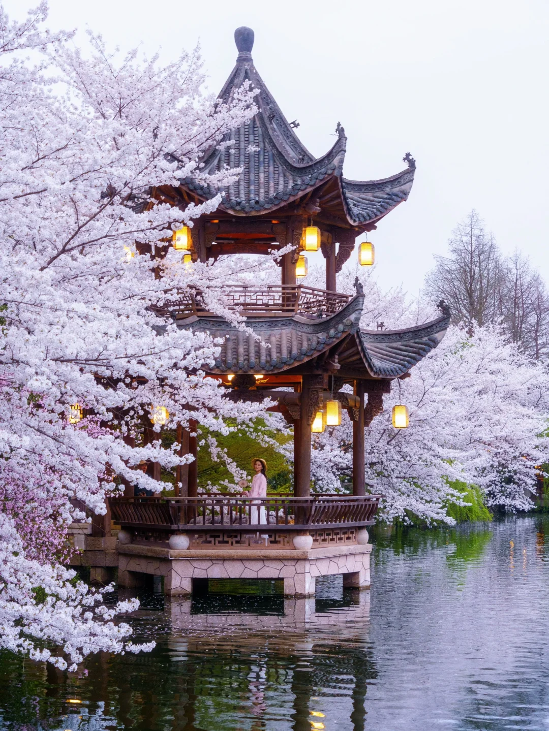 比起西湖🌸我更爱这条春游赏花citywalk