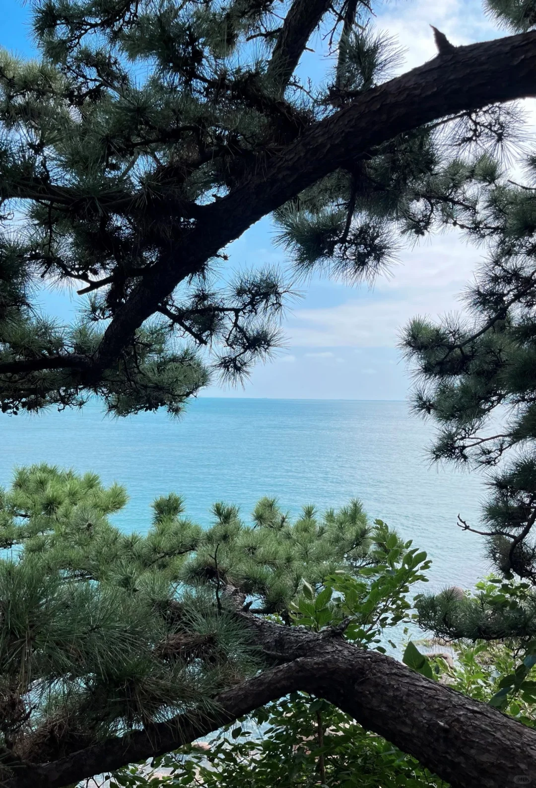 青岛崂山一日游🔥超全旅游攻略