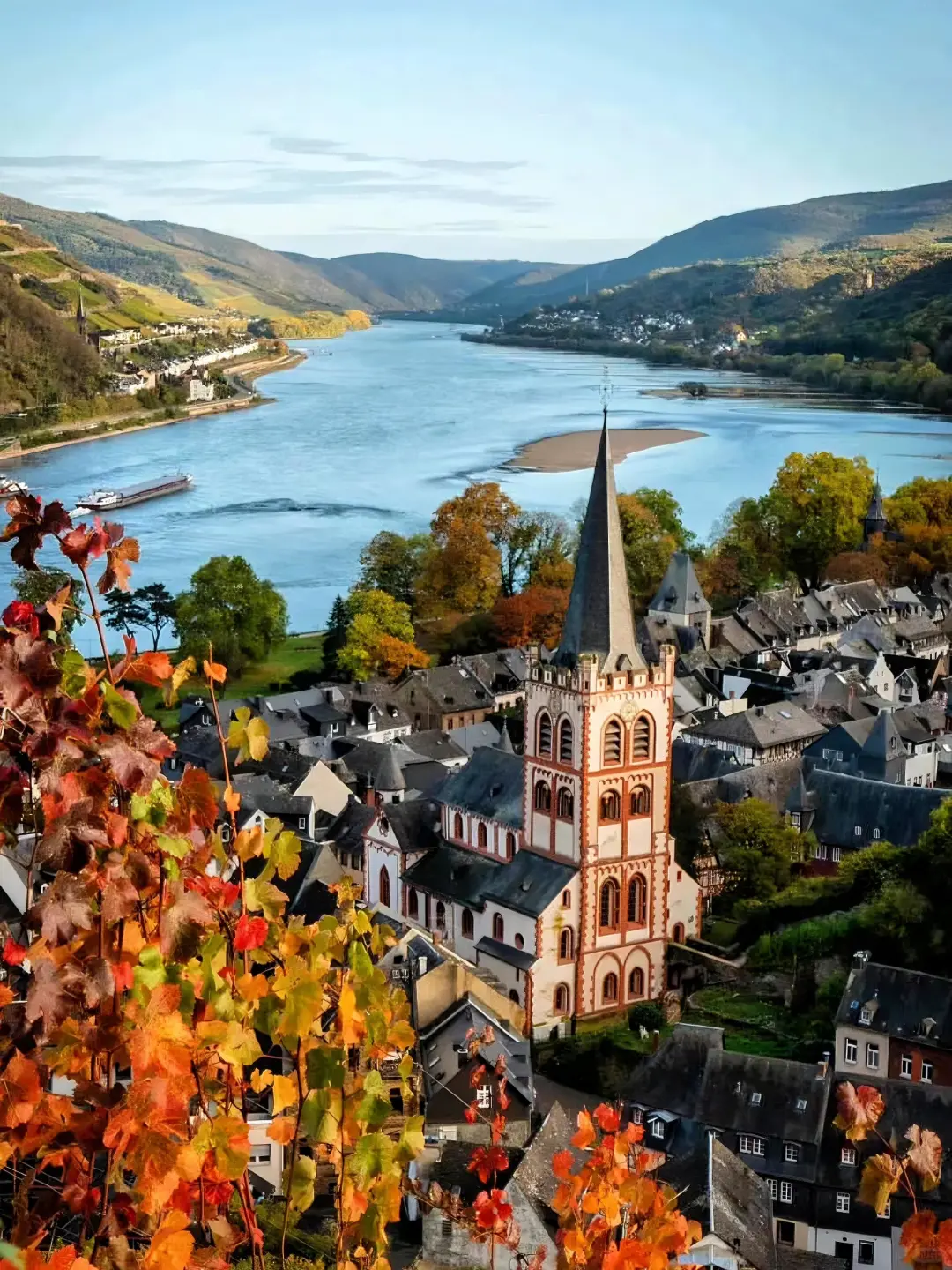 德国莱茵河畔🇩🇪从童话书里出来的小镇!