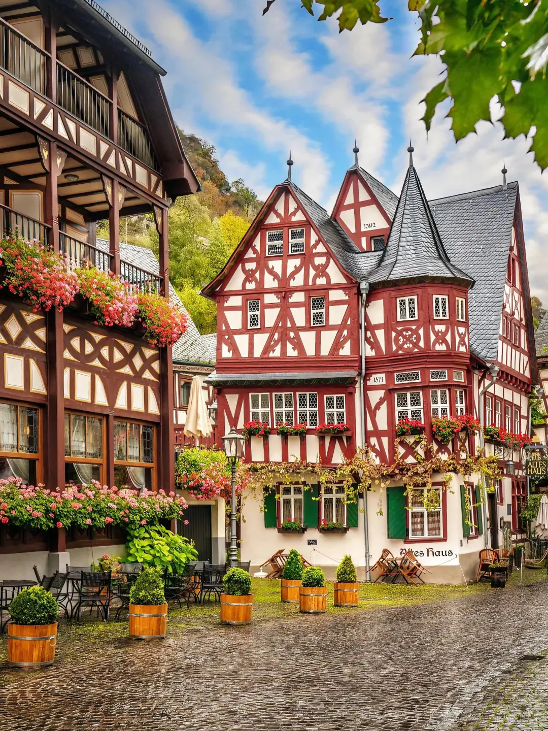 德国莱茵河畔🇩🇪从童话书里出来的小镇!