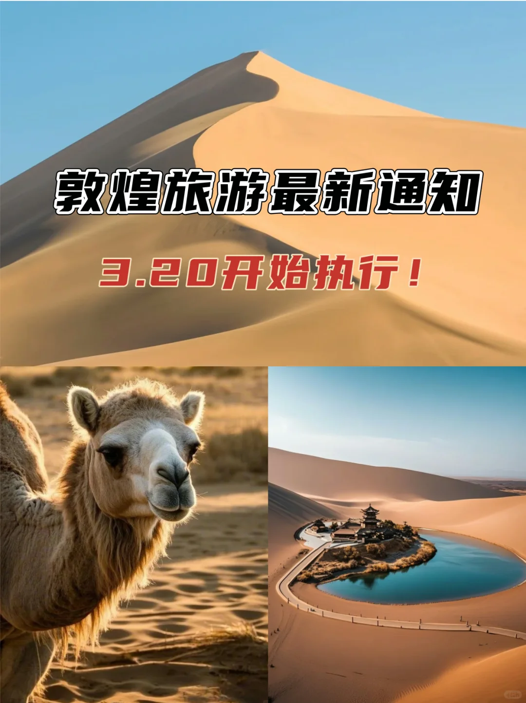 敦煌旅游最新通知！3.20开始执行！