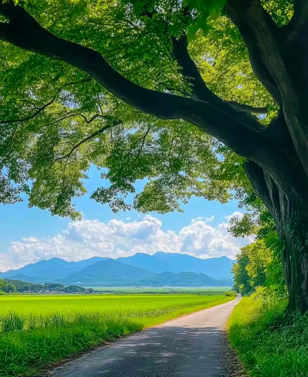 国内哪有这样的地方啊