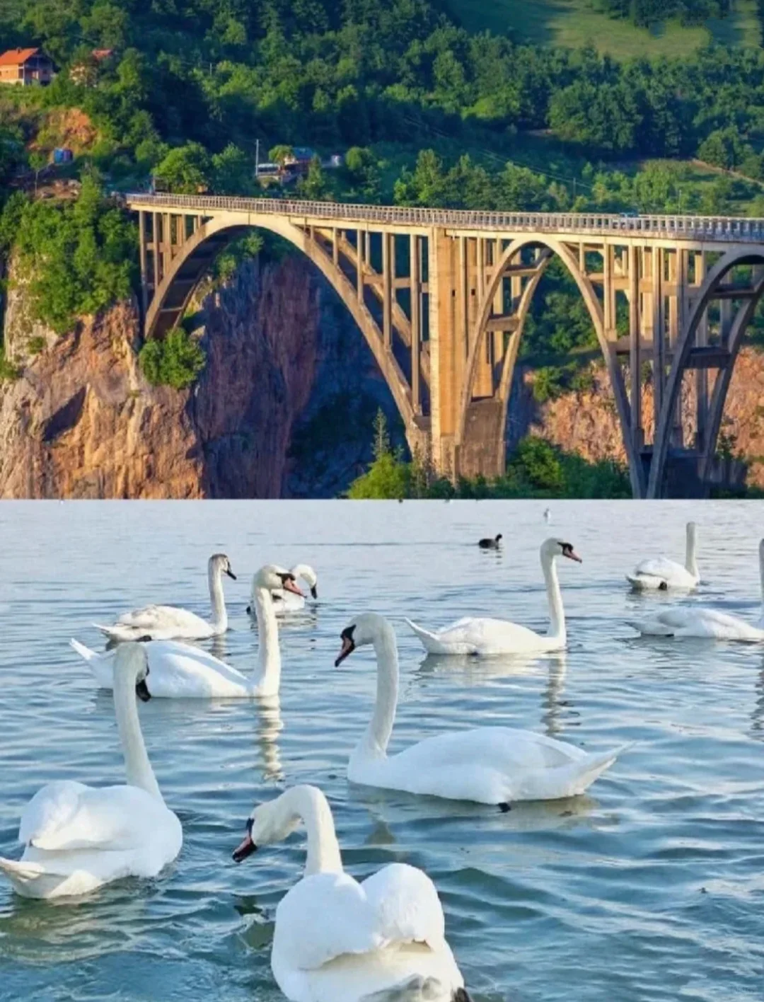 塞尔维亚贝尔格莱德旅游攻略