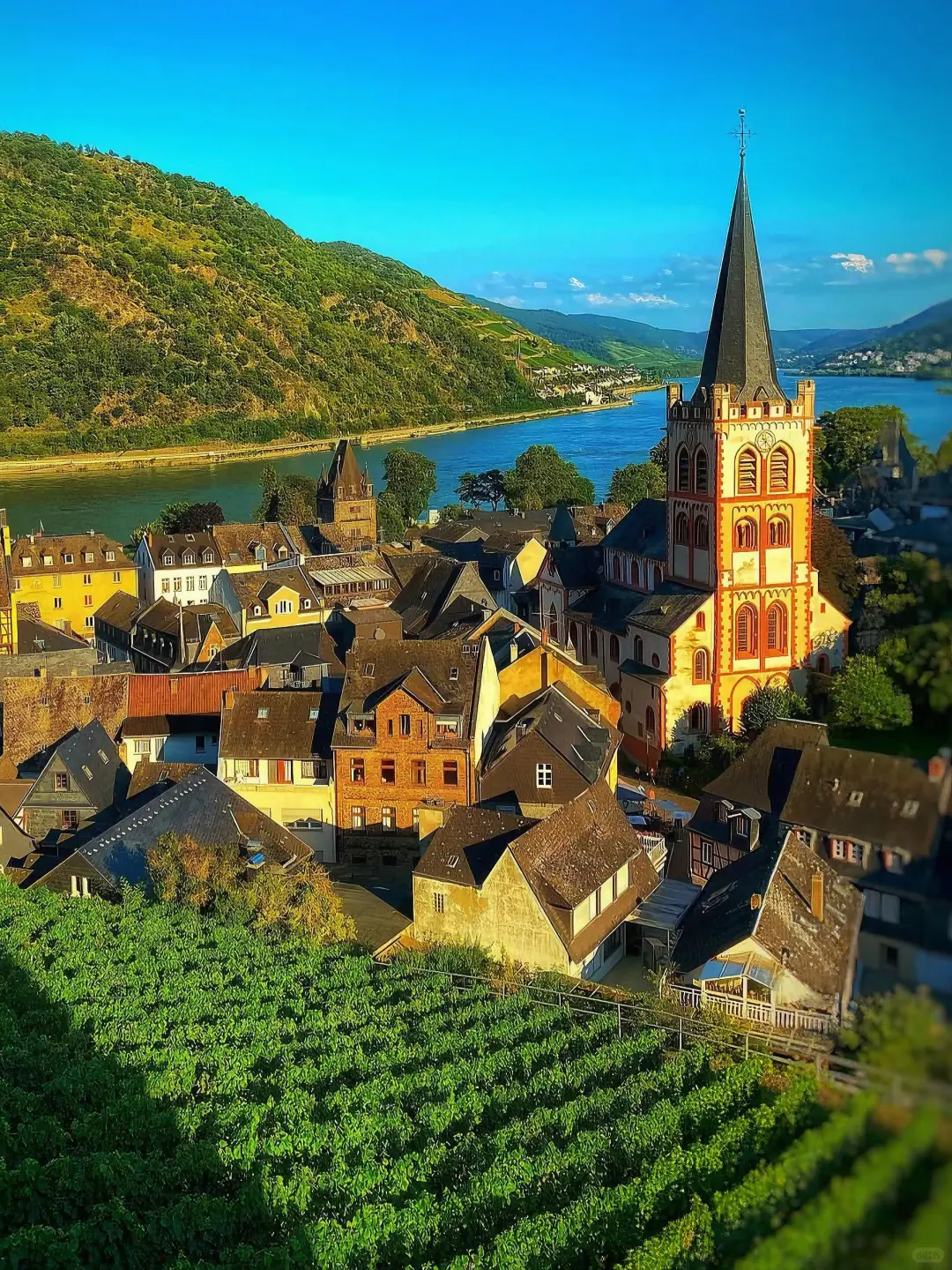 德国莱茵河畔🇩🇪从童话书里出来的小镇!