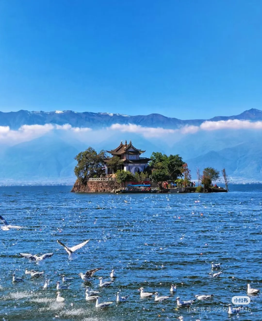 求云南旅游攻略