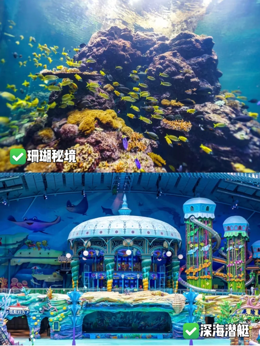 🌟珠海长隆淡季王炸攻略!人少+全刷=爆省钱