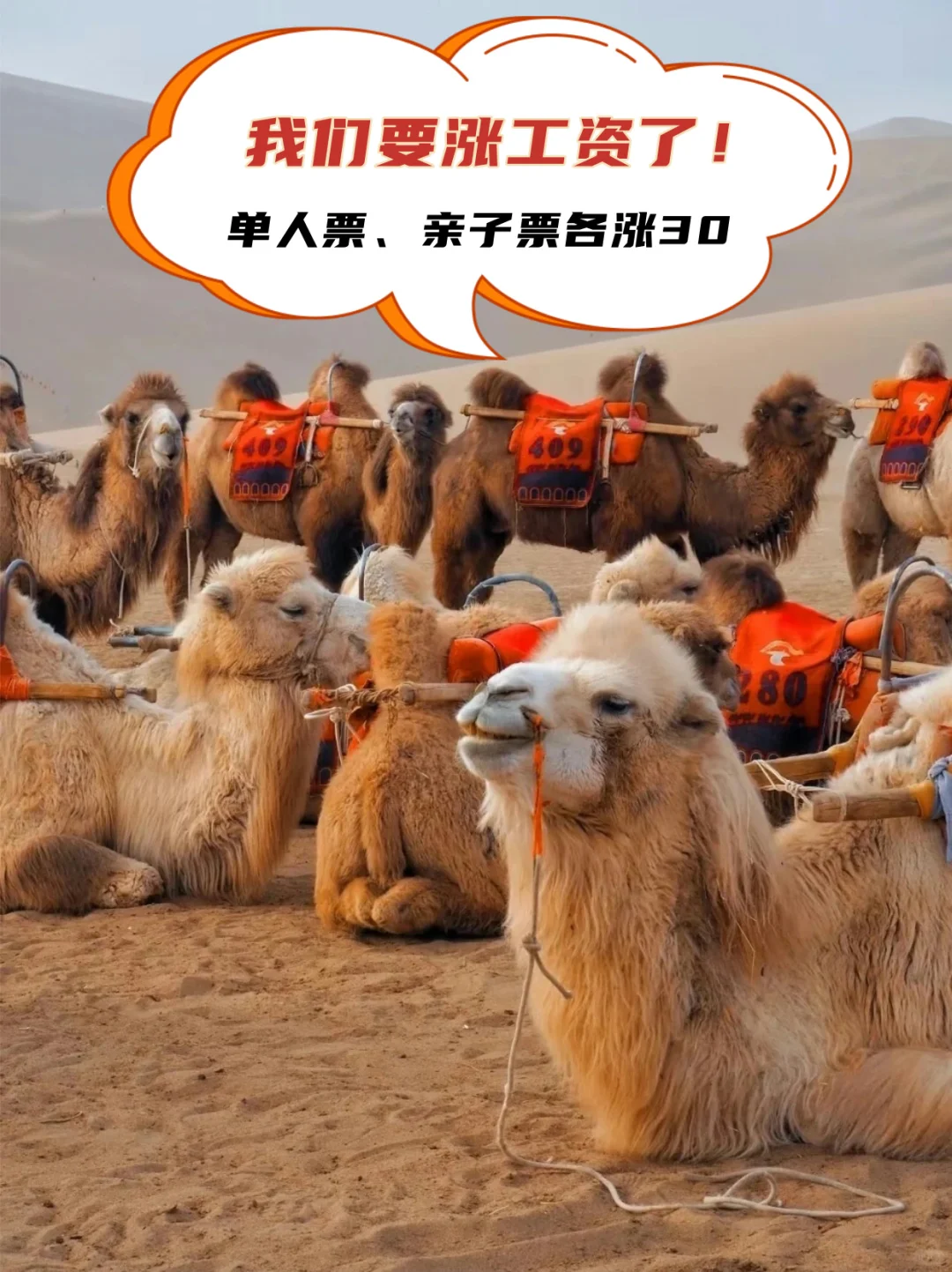 敦煌旅游最新通知！3.20开始执行！