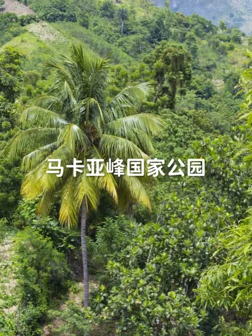 免签国家旅游-海地🇭🇹