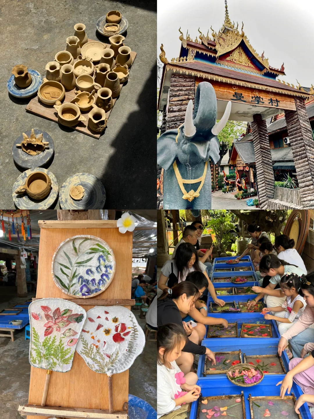 西双版纳淡季来了❗️姐妹们别犹豫，直接冲❗️