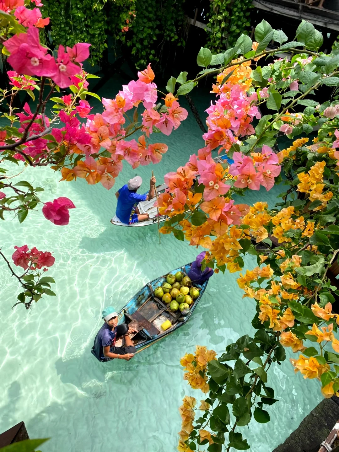 马来西亚旅游让我感受到了信息茧房的可怕