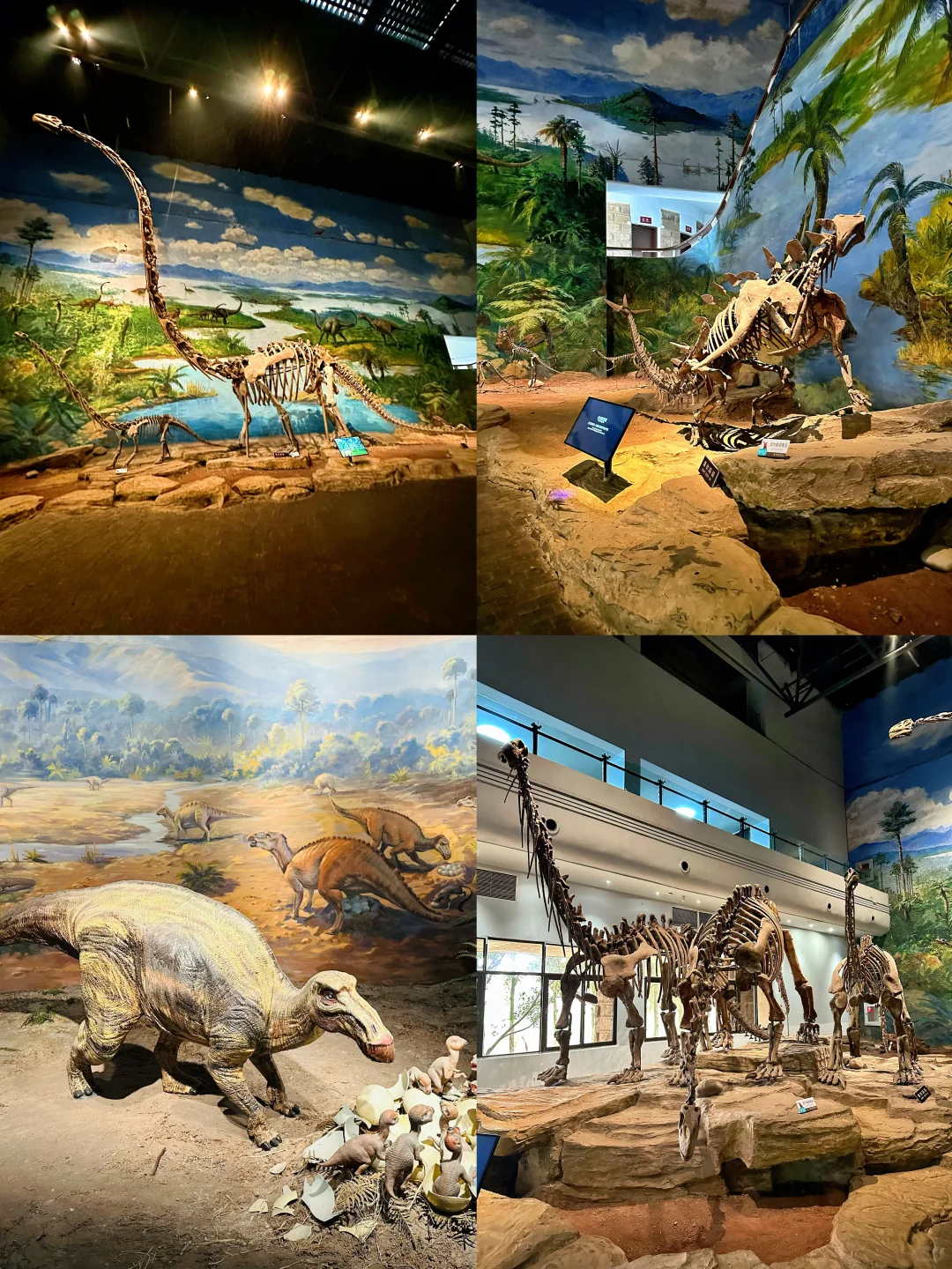 被问爆的自贡2日游攻略！春节要去自贡的码住