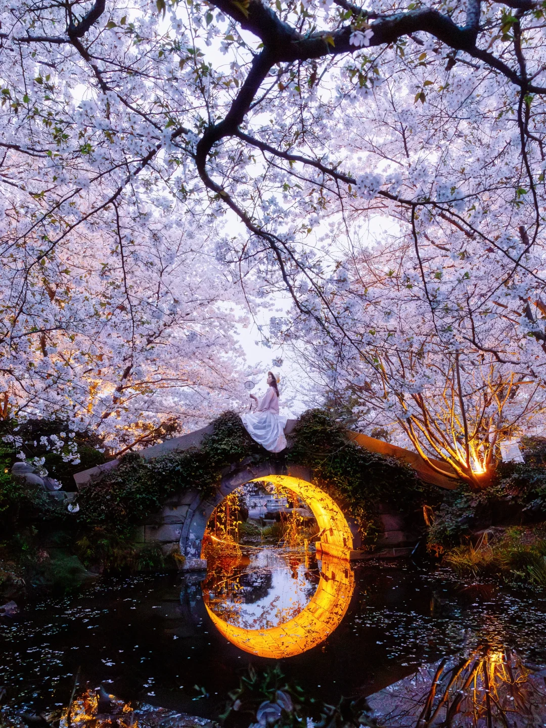 比起西湖🌸我更爱这条春游赏花citywalk