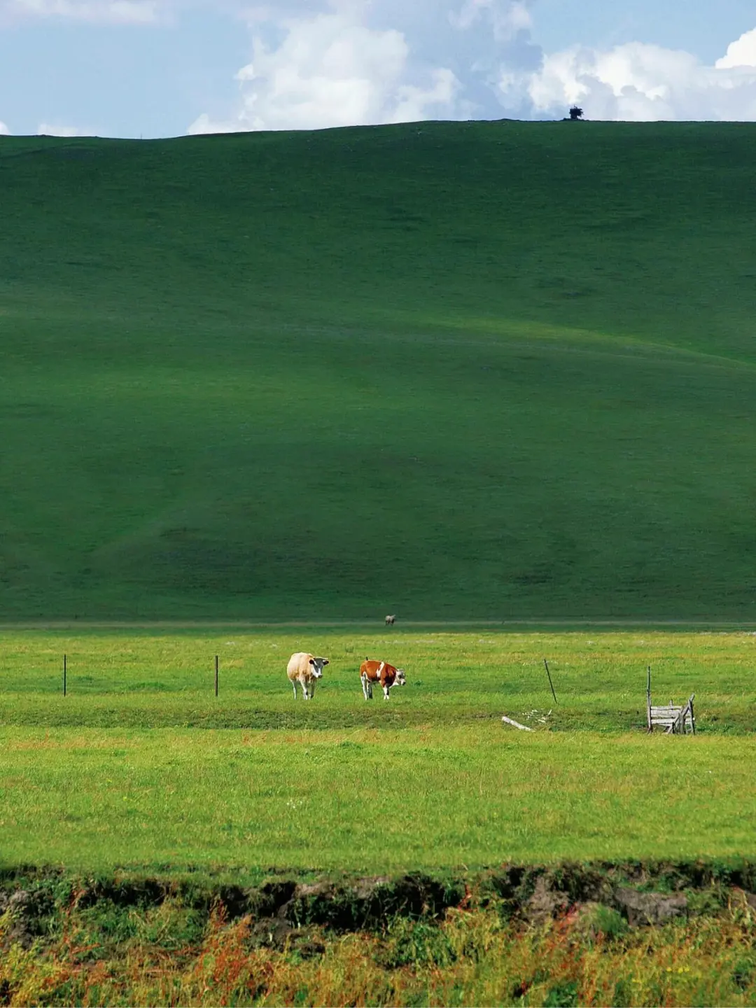 以为阿勒泰已经够美了，直到我去了内蒙古...