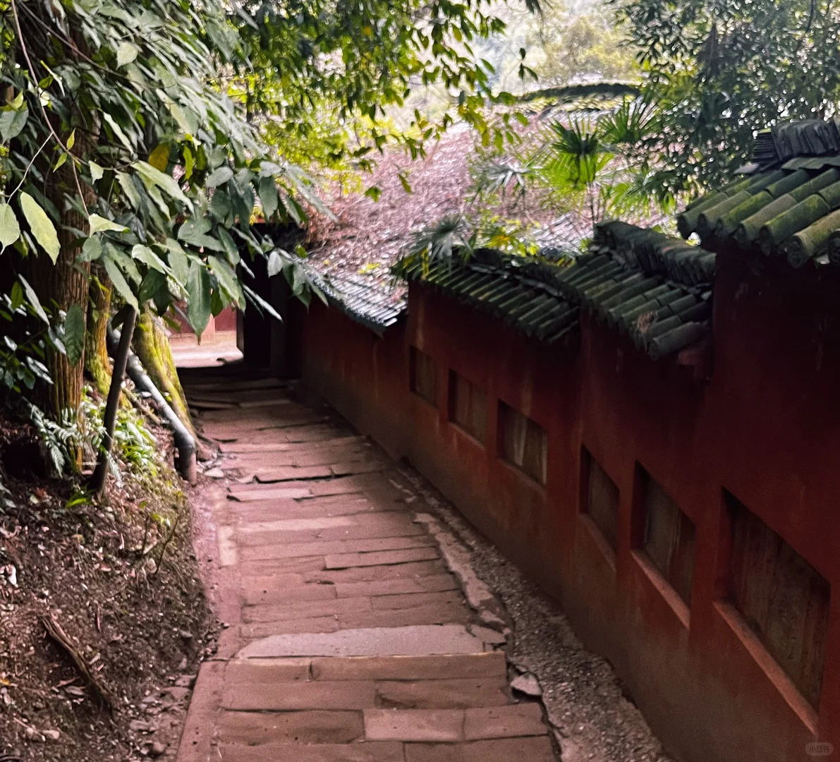 特种兵之一日行程2个景点