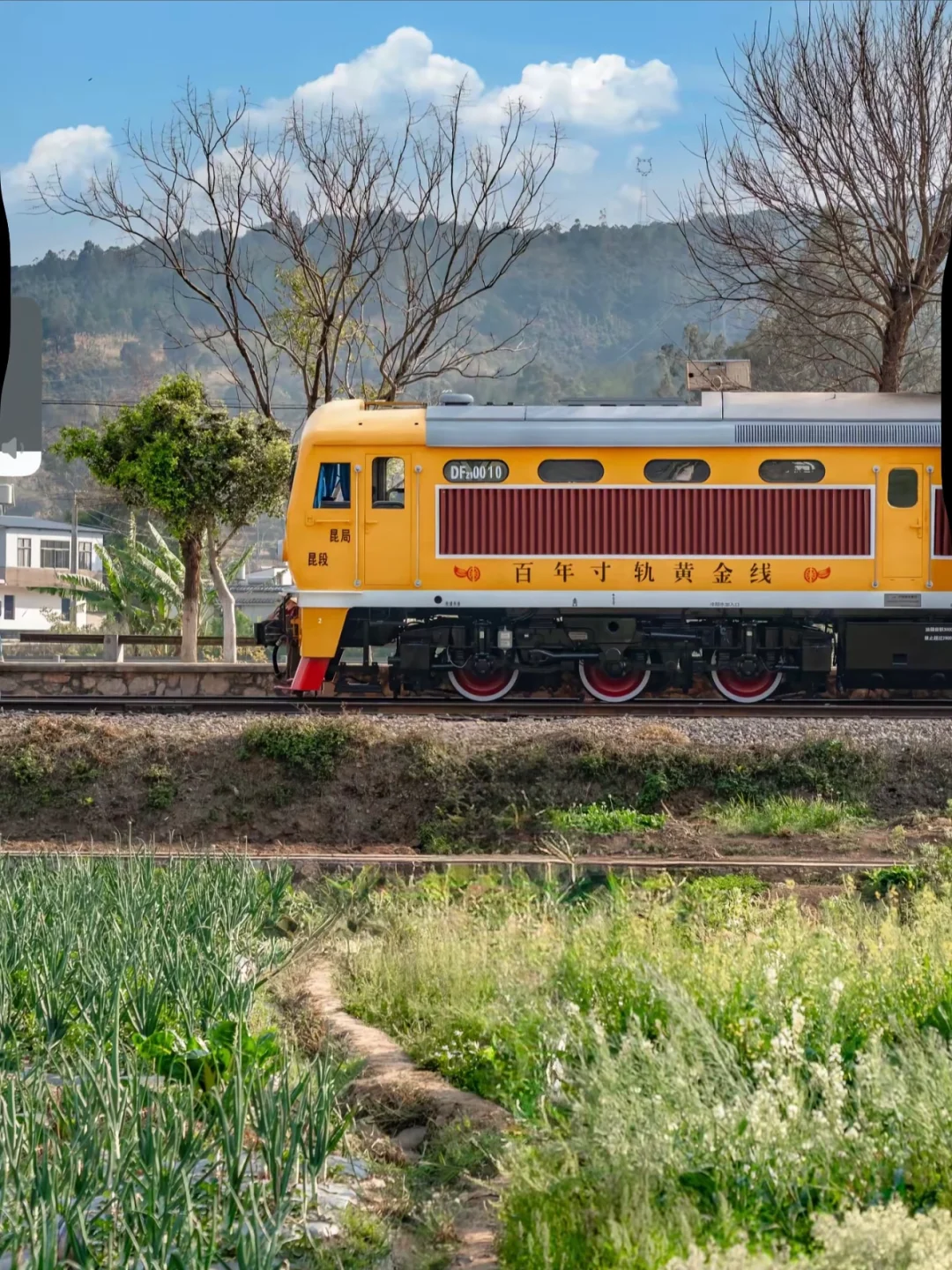 🌉比大理慢半拍！滇南古城里的时光逆流记🚂
