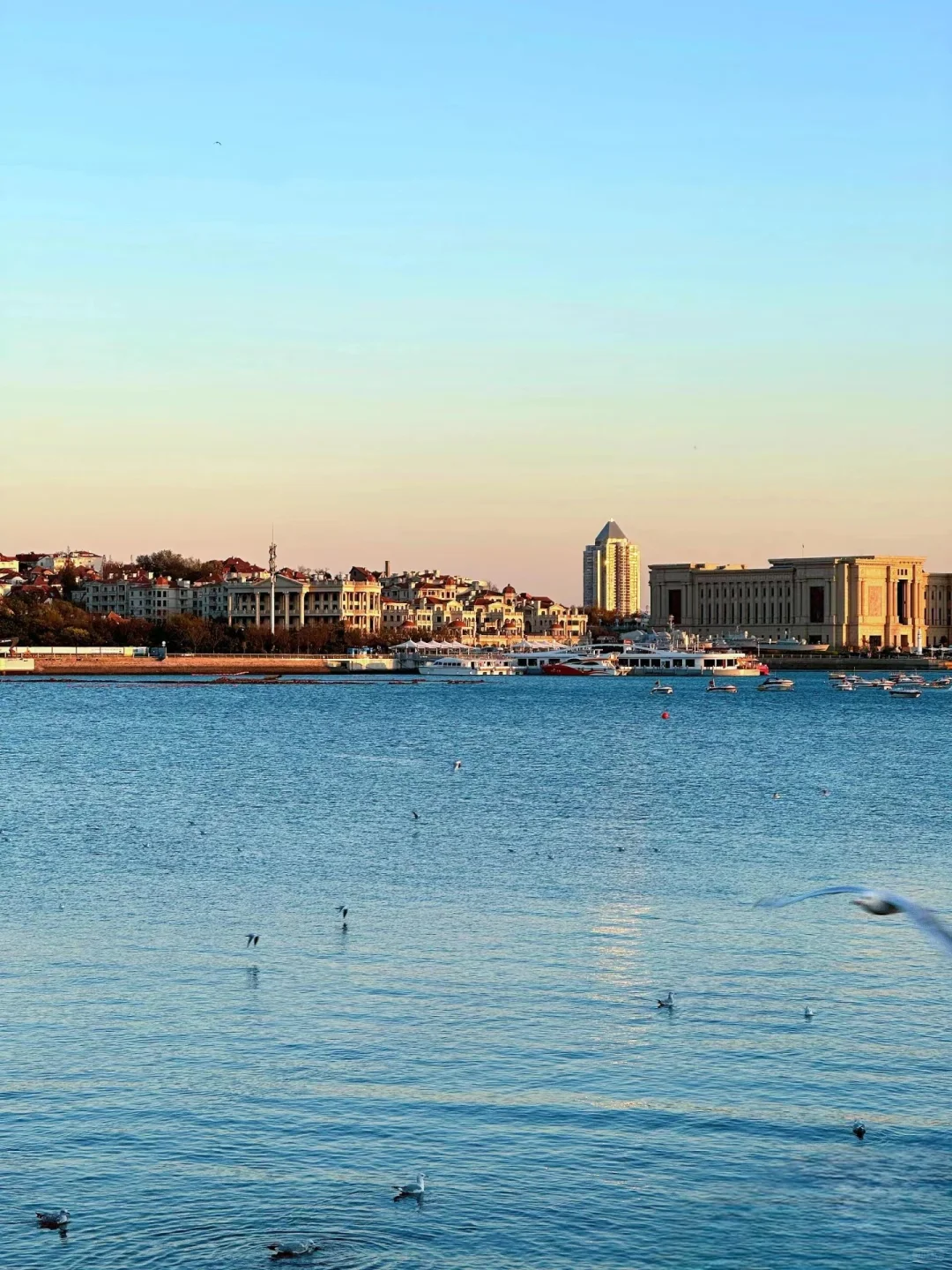 来青岛看海啦！