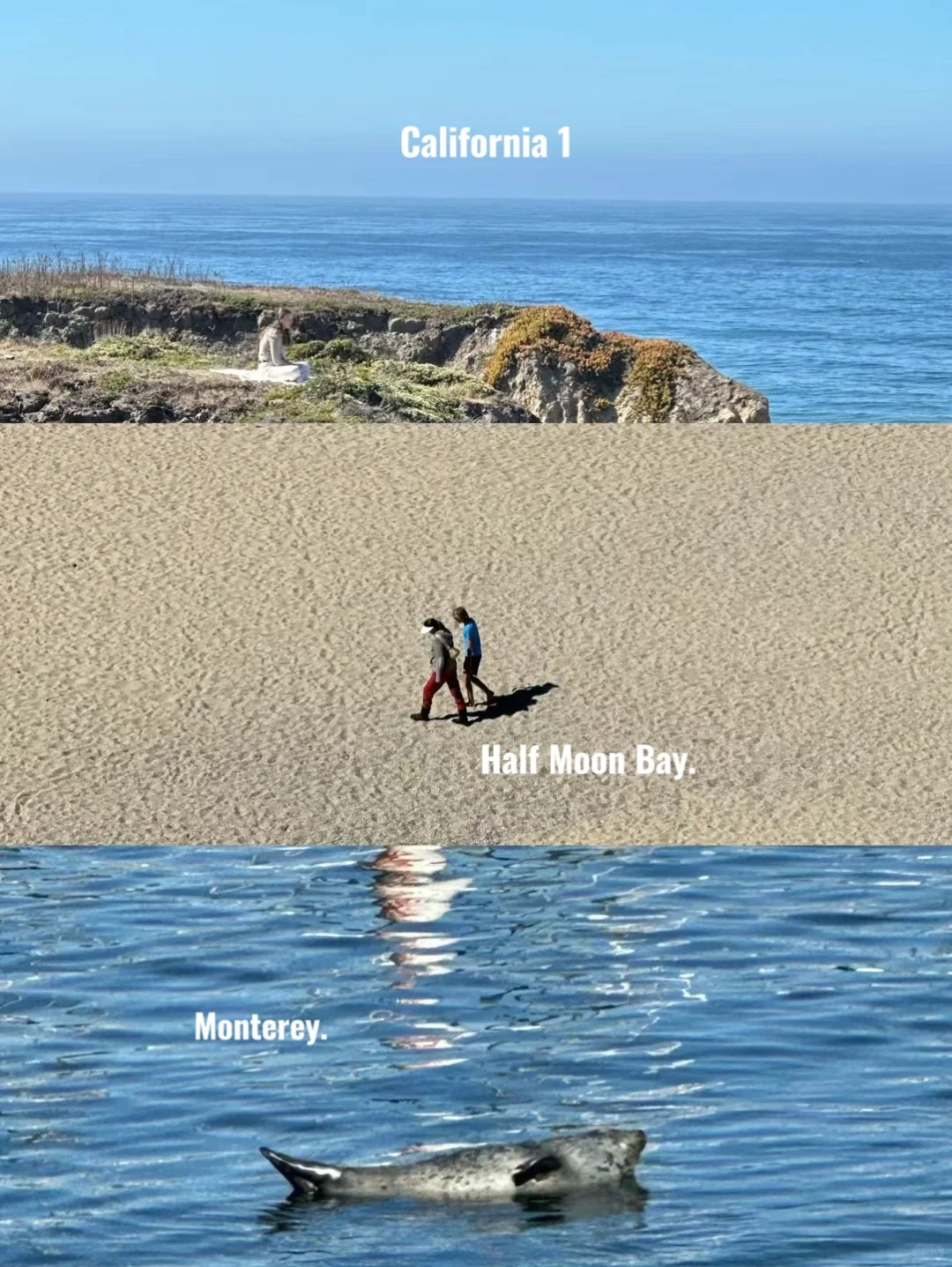 17英里绝美观景台｜California1迷雾海岸仙境