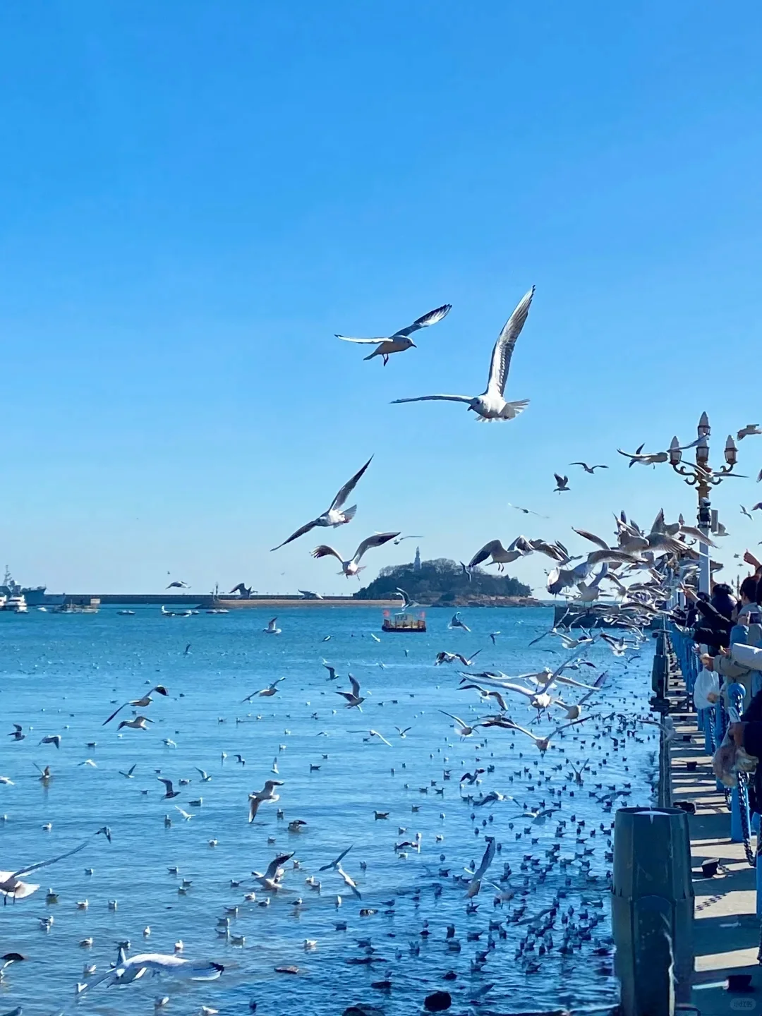 来青岛看海啦！