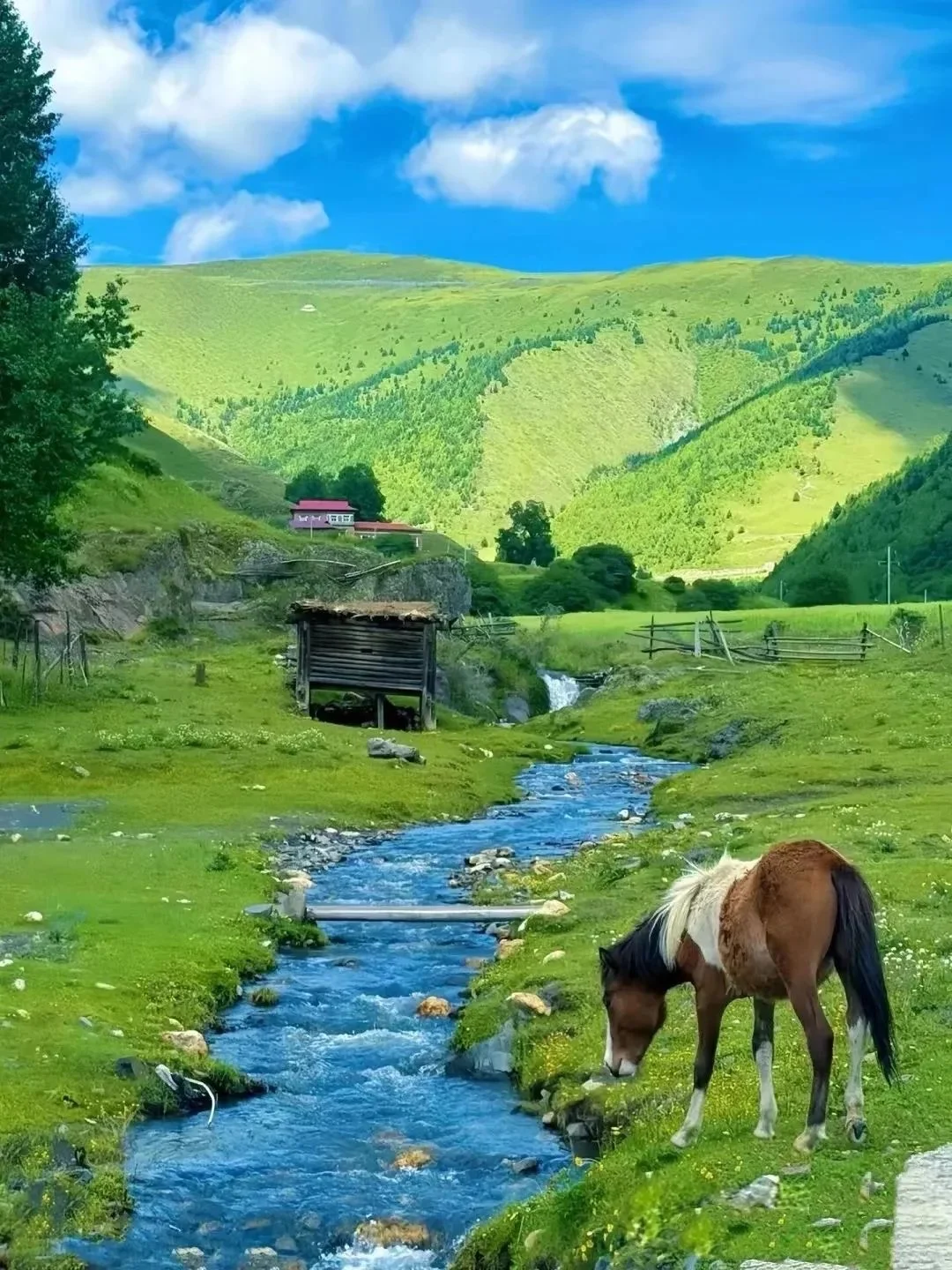 这里真的不是瑞士，是国内~