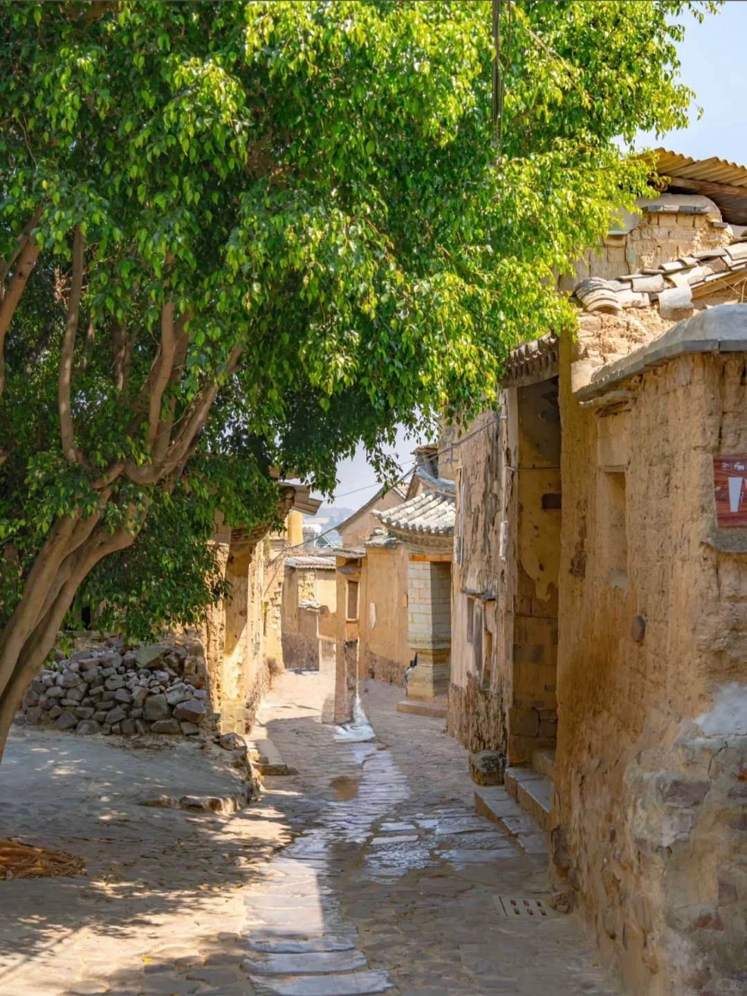 🌉比大理慢半拍！滇南古城里的时光逆流记🚂